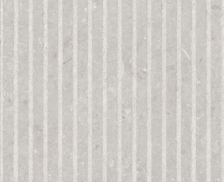 Πλακάκια τοίχου 60x120 εκ., λευκό ματ A4H1094 Shellstone Bianco Rigat-One