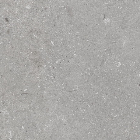 Πλακάκια δαπέδου 60x120 εκ., γκρι ματ A4H1096 Shellstone Grigio #4