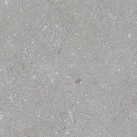 Πλακάκια δαπέδου 60x120 εκ., γκρι ματ A4H1096 Shellstone Grigio #5