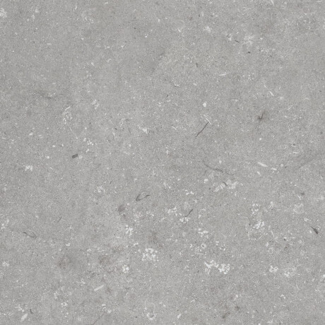 Πλακάκια δαπέδου 60x120 εκ., γκρι ματ A4H1096 Shellstone Grigio #6
