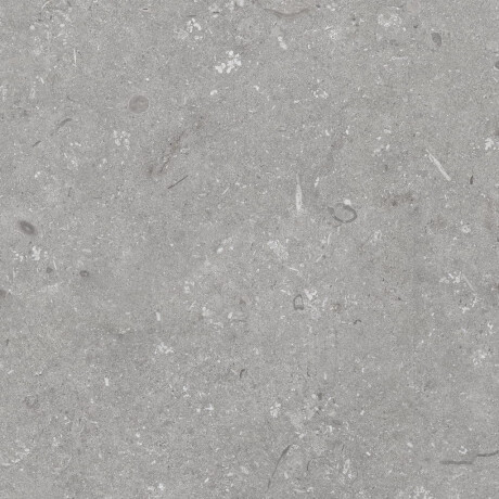Πλακάκια δαπέδου 60x120 εκ., γκρι ματ A4H1096 Shellstone Grigio #8