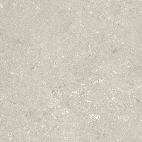 Πλακάκια δαπέδου 60x120 εκ., μπεζ ματ, A4H1099 Shellstone Beige #5