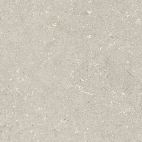 Πλακάκια δαπέδου 60x120 εκ., μπεζ ματ, A4H1099 Shellstone Beige #6