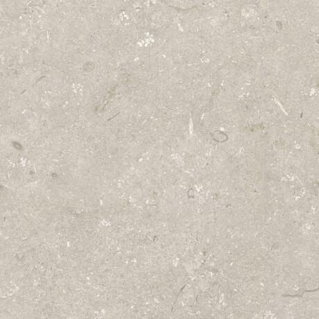 Πλακάκια δαπέδου 60x120 εκ., μπεζ ματ, A4H1099 Shellstone Beige #7