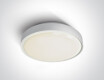 RAFTI EA φωτιστικό οροφής 2x12W  IP65 μαύρο