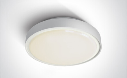 RAFTI EA φωτιστικό οροφής 2x12W  IP65 μαύρο