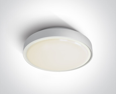 RAFTI EA φωτιστικό οροφής 2x12W  IP65 μαύρο