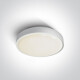 RAFTI EA φωτιστικό οροφής 2x12W  IP65 μαύρο #1
