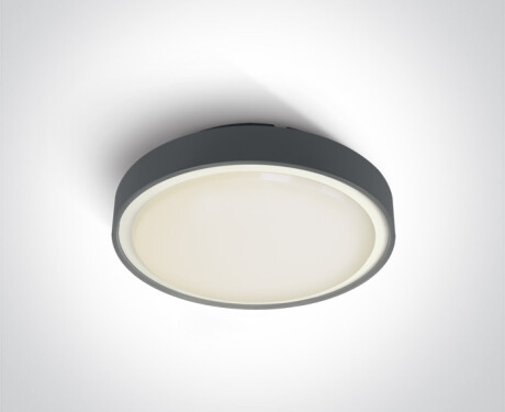 RAFTI EA φωτιστικό οροφής 2x12W  IP65 λευκό