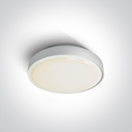 RAFTI E φωτιστικό οροφής 12W  IP65 γκρι #1