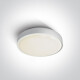 RAFTI E φωτιστικό οροφής 12W  IP65 γκρι #1