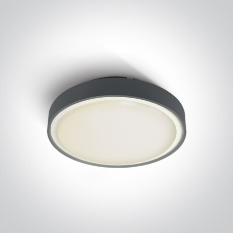 RAFTI E φωτιστικό οροφής 12W  IP65 λευκό #1