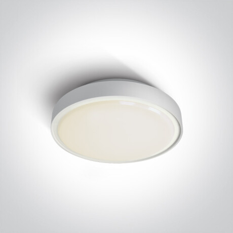 RAFTI N φωτιστικό οροφής 16W 3000K IP65 γκρι #1