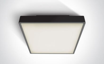 PIRNARI EA φωτιστικό οροφής 2x12W E27 IP65 ανθρακί